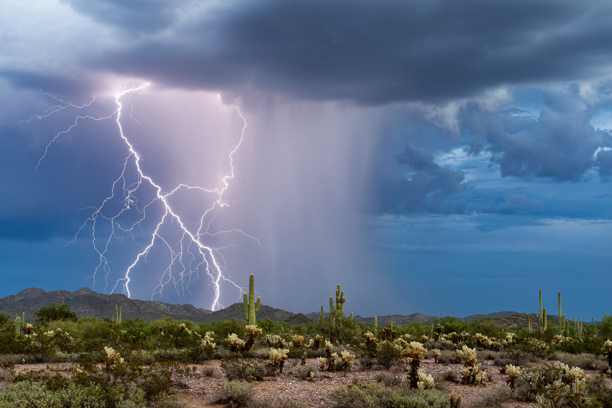 Monsoon Storm Accidents in the Arizona Desert