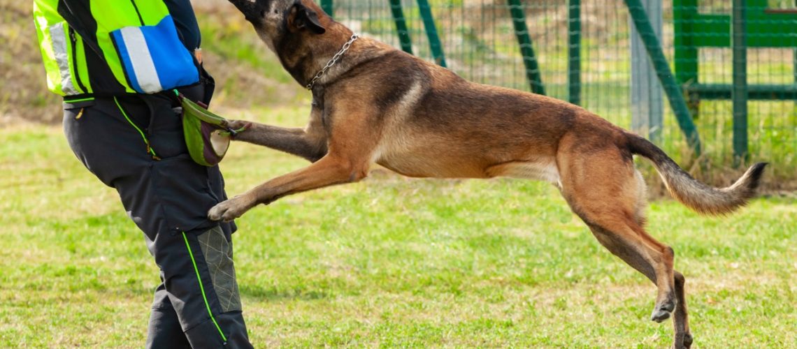 Dog Bite Injuries
